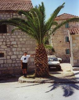 janusz-palma